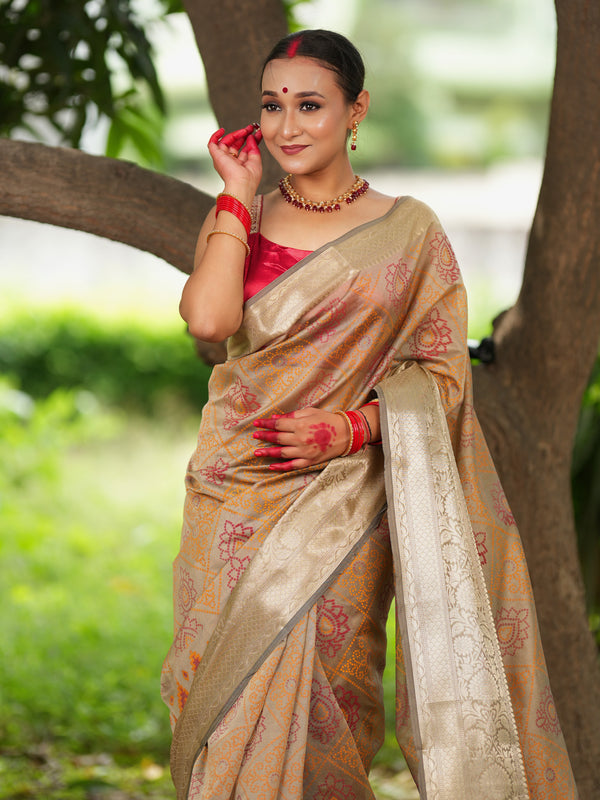 Banarasi Bandhani Organza Saree With Border - Grey