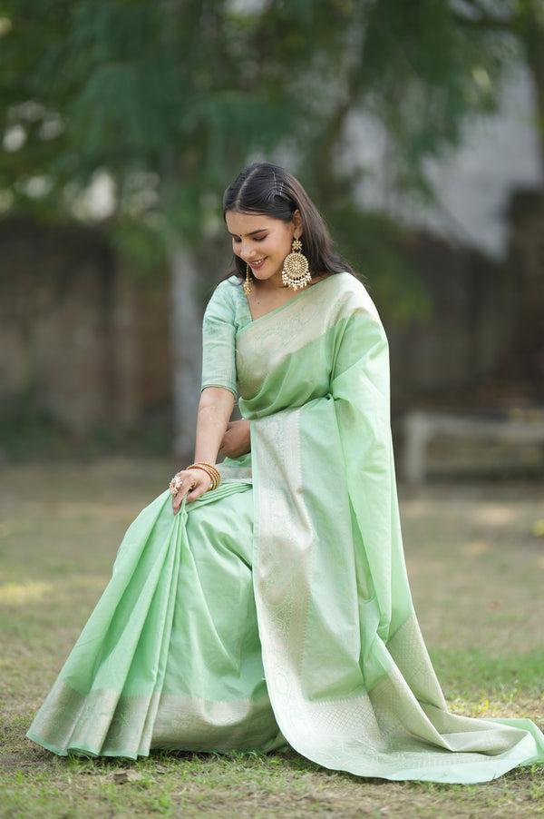 Banarasi Cotton Silk Saree with Plain Border-Pastel Green