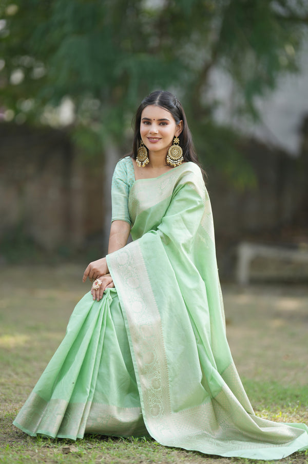 Banarasi Cotton Silk Saree with Plain Border-Pastel Green