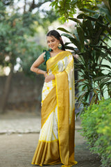 Banarasi Shibori Dyed Cotton Silk Saree With Antique Zari Border-Yellow