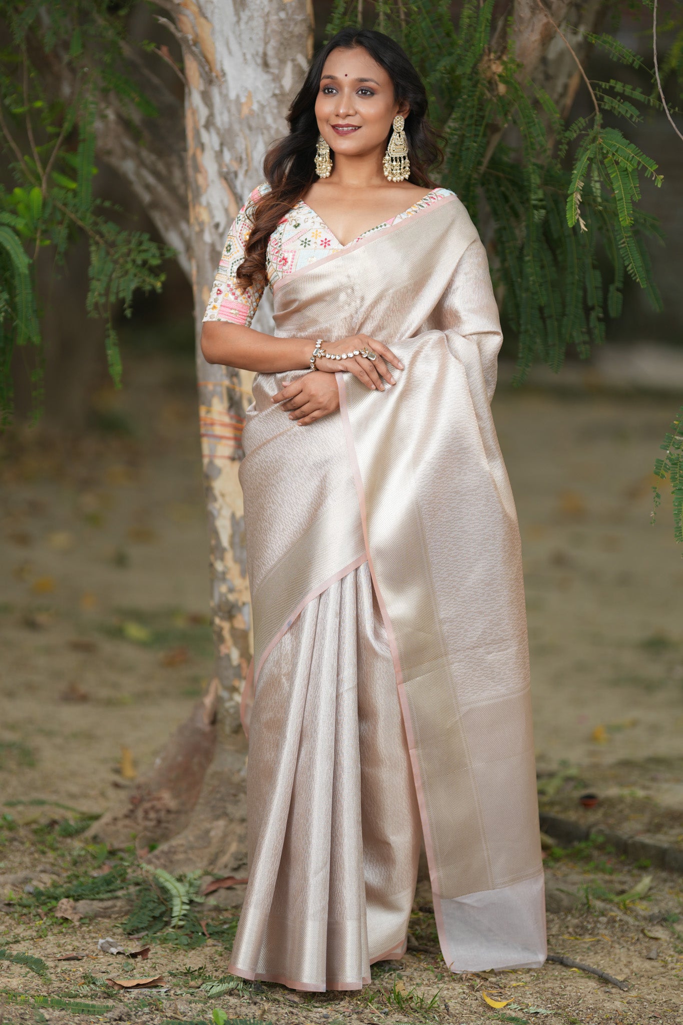 Banarasi Tissue Saree With Silver Zari & Border - Grey