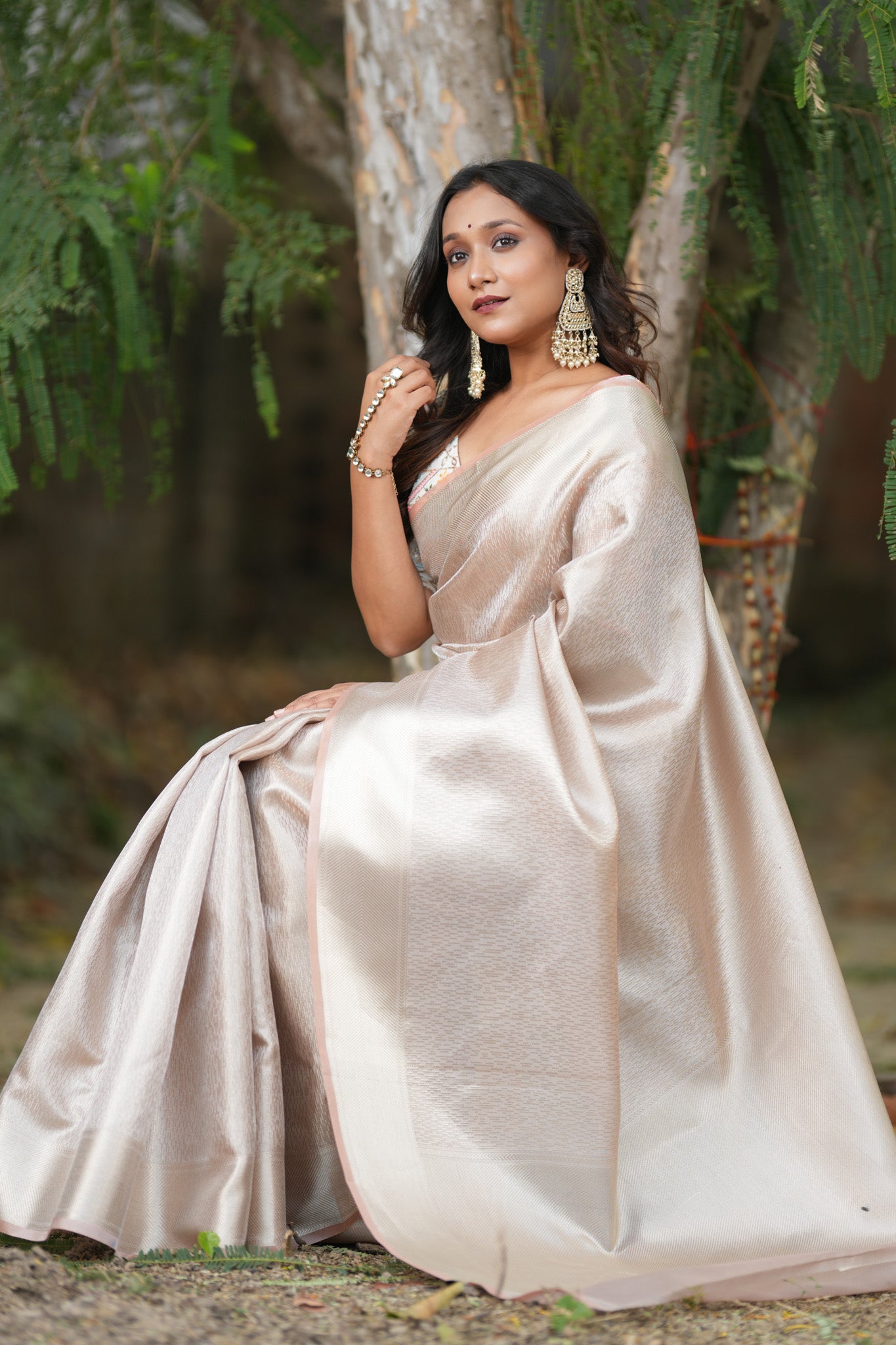 Banarasi Tissue Saree With Silver Zari & Border - Grey