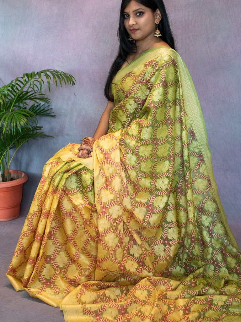 Banarasi Semi Georgette Saree With Zari Jaal Weaving-Green & Yellow