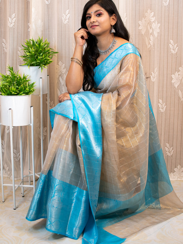 Banarasi organza Saree With Zari Weaving & Contrast Skirt Border-Blue