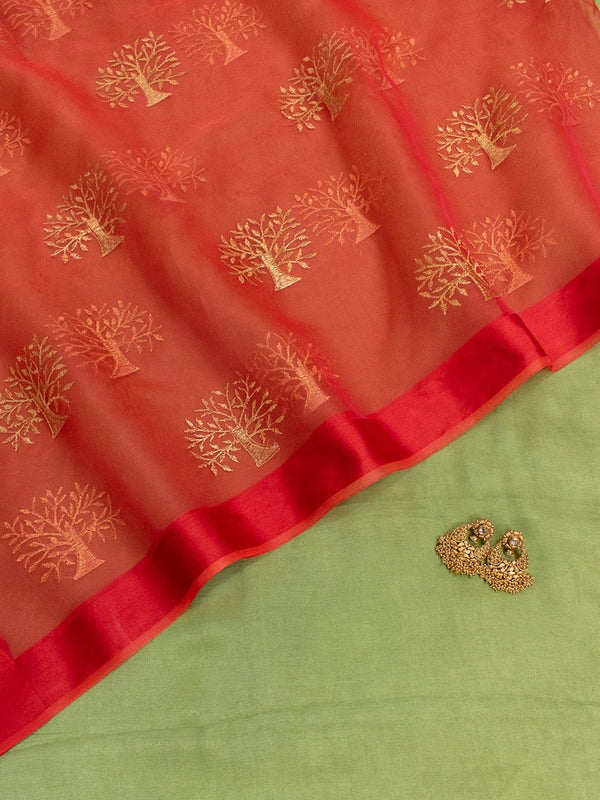 Banarasi Organza Mix Embroidered Dupatta -Red