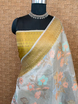 Banarasi Soft Tissue Saree With Zari & Resham Weaving & Contrast Skirt Border-Golden