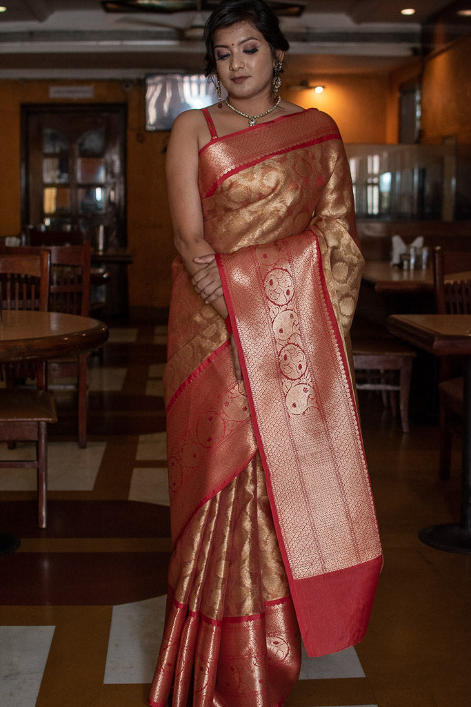 Banarasi Tissue Antique Zari & Resham Weaving Saree With Contrast Skirt Border