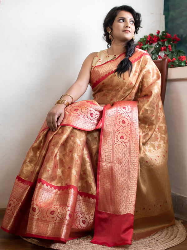 Banarasi Tissue Antique Zari & Resham Weaving Saree With Contrast Skirt Border-Gold
