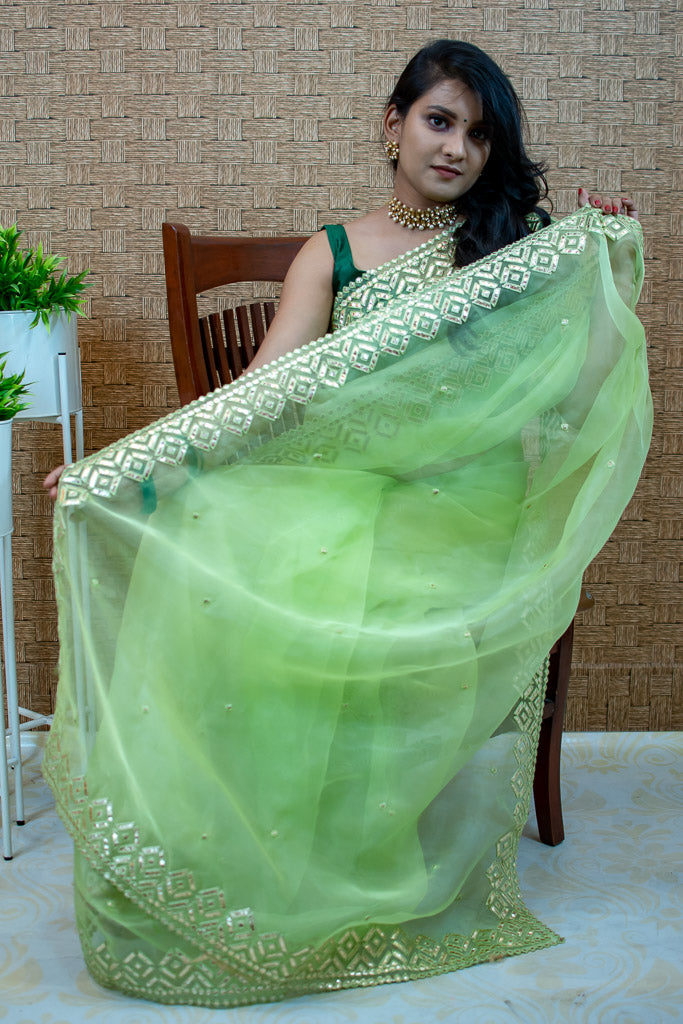 Stone Embroidered Organza Mix Saree-Green