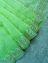 Stone Embroidered Organza Mix Saree-Green