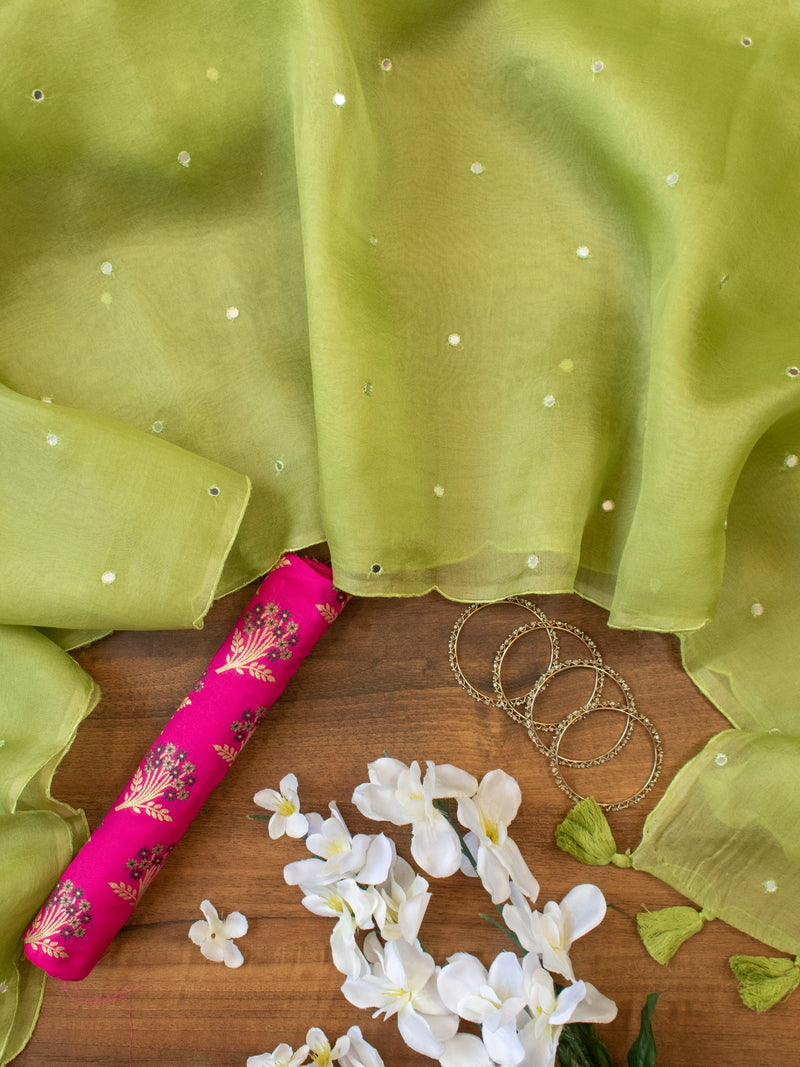 Embroidered Pure Organza Saree With Contrast Brocade Blouse-Green