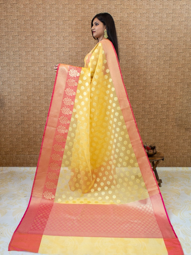 Banarasi Organza Mix Saree With Contrast Border-Yellow